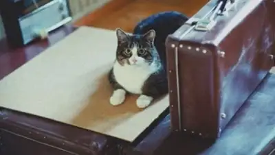 Zakon.kz, фото - Новости Zakon.kz от 27.10.2016 04:44