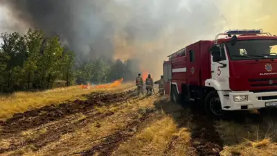 В лесах Павлодарской области тушат крупный пожар