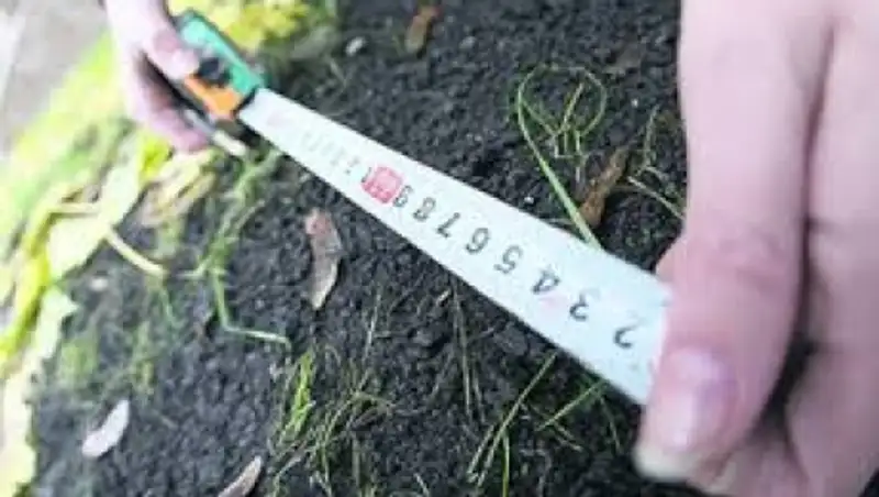 Более 2 тыс. земельных актов отменены как незаконные прокуратурой Алматинской области