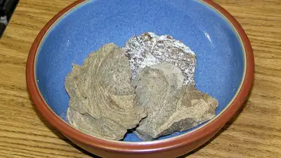 Амбра из внутренностей кита, фото - Новости Zakon.kz от 05.07.2023 10:42