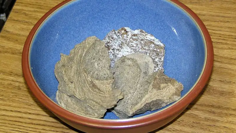 Патологоанатом нашел сокровище на 242 млн тенге в мертвом ките на Канарских островах