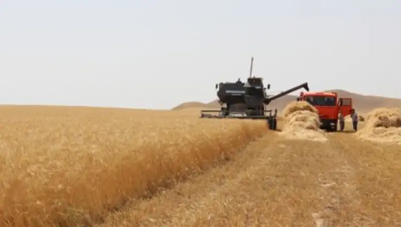 МСХ: На весенне-полевые и уборочные работы выделен кредит в 60 млрд тенге