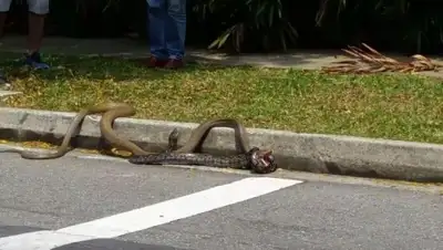 Zakon.kz, фото - Новости Zakon.kz от 28.08.2015 22:18