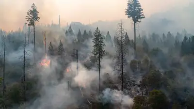 Казахстанцы собрали 200 млн тенге вместе с Kaspi.kz для пострадавших от пожара, фото - Новости Zakon.kz от 15.06.2023 14:04