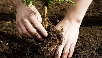 Zakon.kz, фото - Новости Zakon.kz от 03.05.2015 05:41