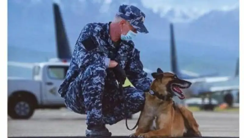 Казахстан победил в фотоконкурсе организованном Всемирной таможенной организацией