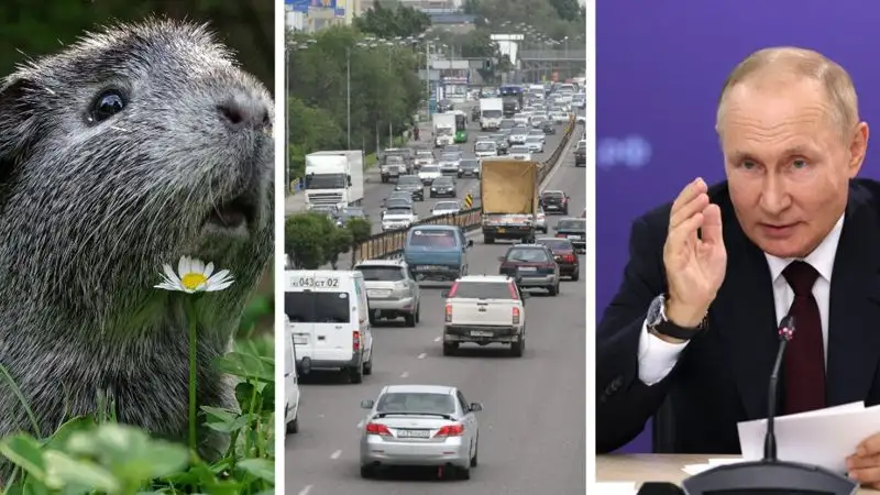 Главное за день: в Казахстане новые штрафы, послание Путина, школьники убили и разделали свинку