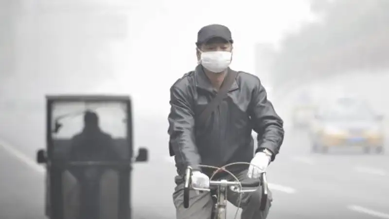 Шопинг жителей Запада ежегодно убивает 100 тысяч китайцев