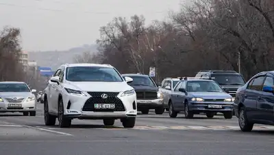 автомобили алматы осень, фото - Новости Zakon.kz от 04.03.2022 16:04