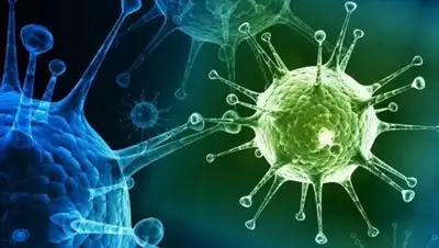 Google, фото - Новости Zakon.kz от 23.08.2020 22:17