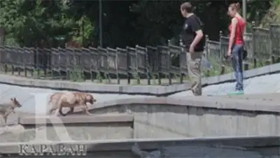 Zakon.kz, фото - Новости Zakon.kz от 11.06.2014 19:35