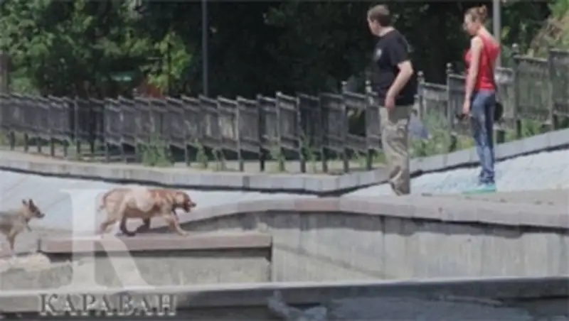 Миллионы на ремонт набережной реки Большая Алматинка. Спустили и забыли?