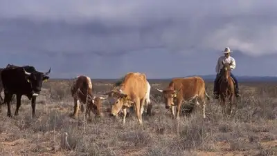 Bnews.kz, фото - Новости Zakon.kz от 06.04.2018 10:21