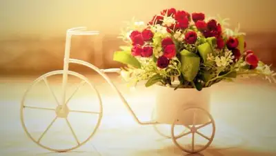 Зайцев.нет, фото - Новости Zakon.kz от 07.03.2018 09:26