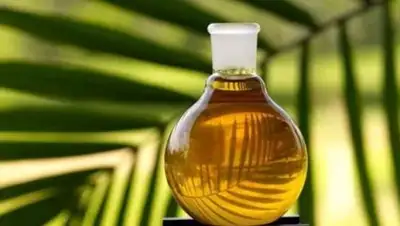 foodclean.ru, фото - Новости Zakon.kz от 07.03.2018 13:42