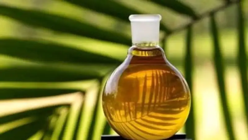 Усилить контроль за использованием пальмового масла в РК предлагает депутат