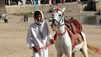 Pixabay, фото - Новости Zakon.kz от 24.04.2019 07:45