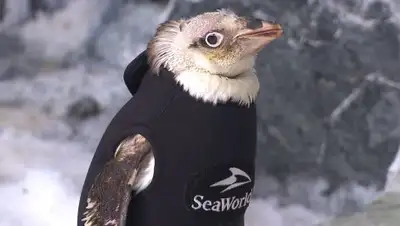 Zakon.kz, фото - Новости Zakon.kz от 28.10.2016 13:35