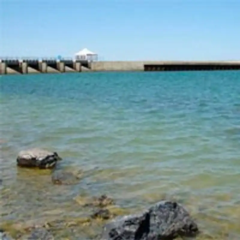 В Алматы прошла международная научно-практическая конференция «Международный фонд спасения Арала: 20 лет на пути сотрудничества»