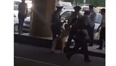 Zakon.kz, фото - Новости Zakon.kz от 11.05.2017 15:17