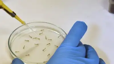 Zakon.kz, фото - Новости Zakon.kz от 31.01.2016 04:04