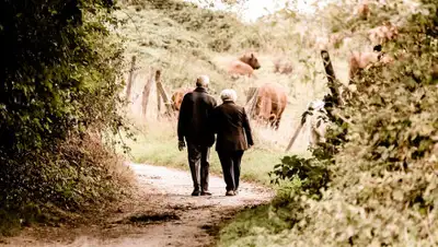 pixabay.com, фото - Новости Zakon.kz от 10.10.2019 23:16