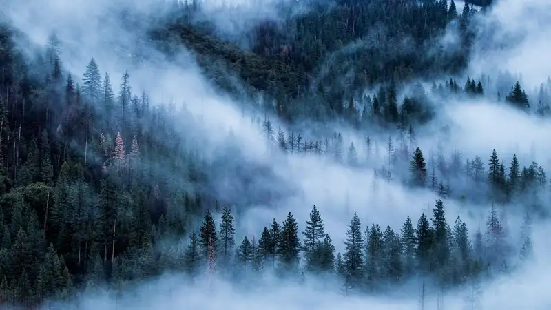 Туман и ветер прогнозируют синоптики на большей части Казахстана