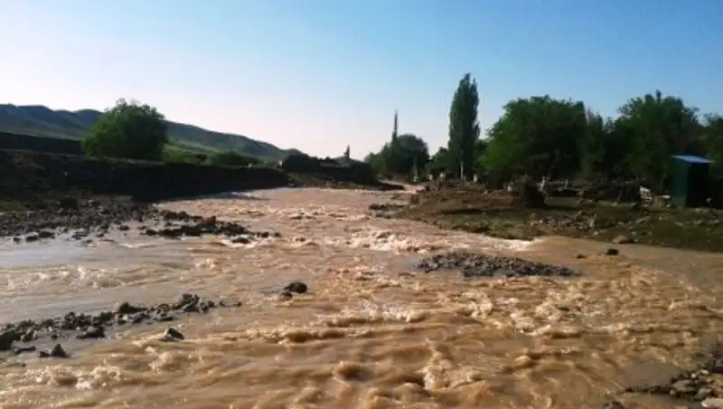 В селе Коктал-Арасан Алматинской области произошло подтопление 12 дворовых участков