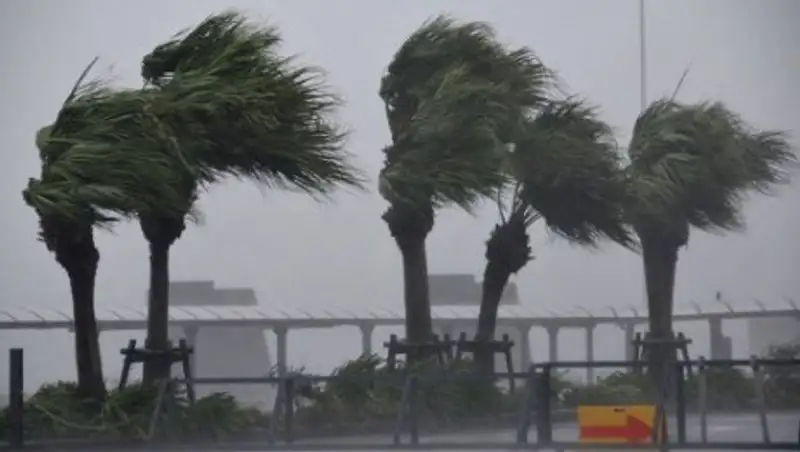 Штормовое предупреждение объявлено в Японии в связи с приближением тайфуна