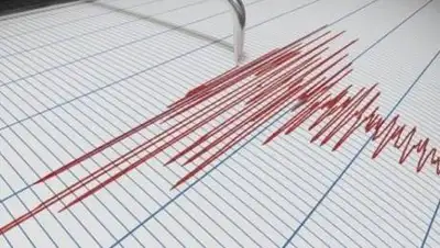 pixabay.com, фото - Новости Zakon.kz от 05.03.2021 00:34