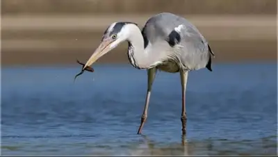 Zakon.kz, фото - Новости Zakon.kz от 13.04.2015 01:26