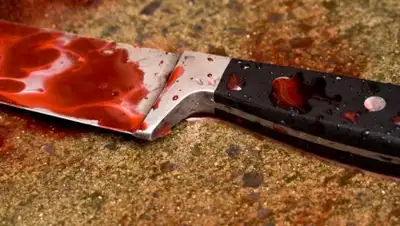 Zakon.kz, фото - Новости Zakon.kz от 29.12.2015 00:16