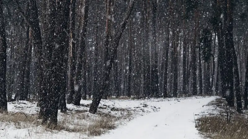 Осадки ожидаются в Казахстане в выходные