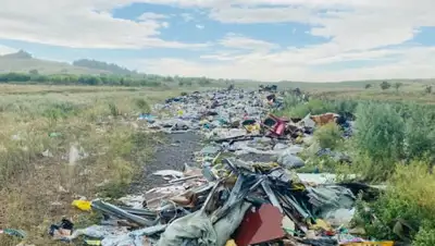 zakon.kz., фото - Новости Zakon.kz от 25.07.2020 11:38