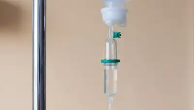 pixabay.com, фото - Новости Zakon.kz от 08.02.2019 23:06