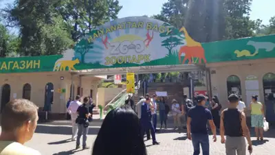 Zakon.kz, фото - Новости Zakon.kz от 12.07.2019 17:06