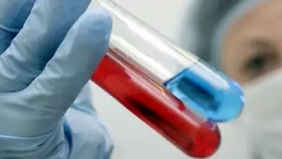 Zakon.kz, фото - Новости Zakon.kz от 11.12.2014 02:30