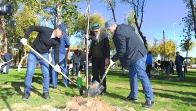 пресс-служба акима Туркестанской области, фото - Новости Zakon.kz от 19.10.2019 12:45