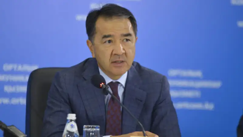 Сагинтаева избрали председателем алматинского филиала партии Nur Otan