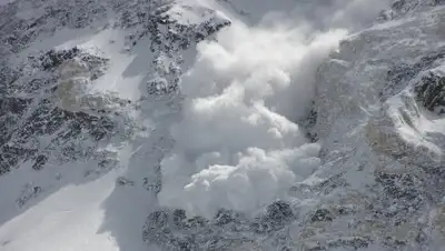 Zakon.kz, фото - Новости Zakon.kz от 18.04.2017 18:17