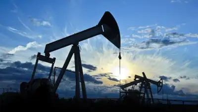 Zakon.kz, фото - Новости Zakon.kz от 03.08.2015 18:32