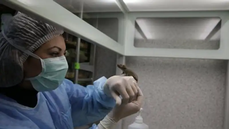 Российские ученые успешно протестировали вещество, замедляющее старение