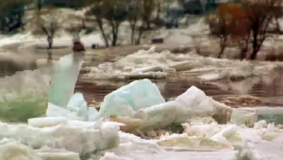 Zakon.kz, фото - Новости Zakon.kz от 12.03.2017 03:37