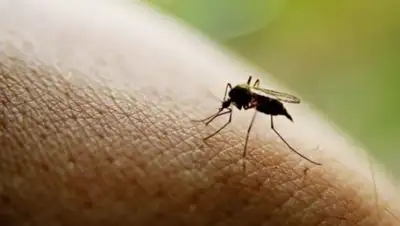 Zakon.kz, фото - Новости Zakon.kz от 28.05.2016 12:02