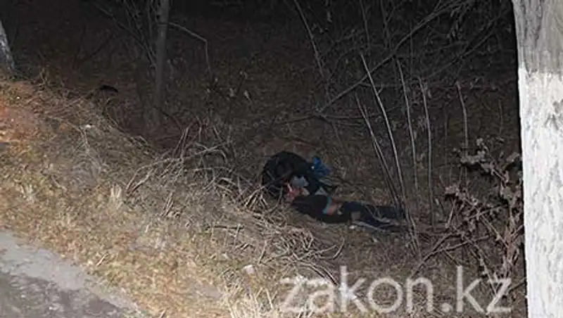 Смерть на Кульджинке в Алматы - водитель Тойоты сбил пешехода (фото), фото - Новости Zakon.kz от 12.11.2013 17:40