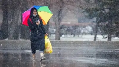 sdska.ru, фото - Новости Zakon.kz от 15.03.2018 09:37