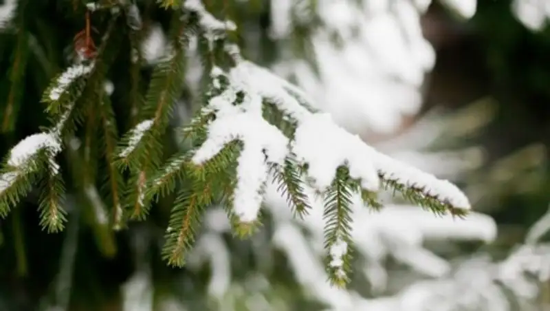 28 ноября на северо-западе, севере и востоке РК сохранятся осадки, гололед, усиление ветра