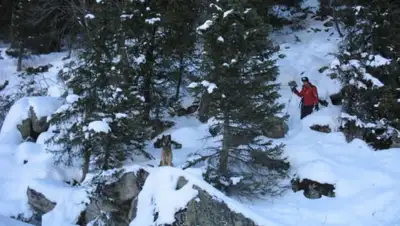 КЧС МВД РК, фото - Новости Zakon.kz от 04.12.2019 17:33