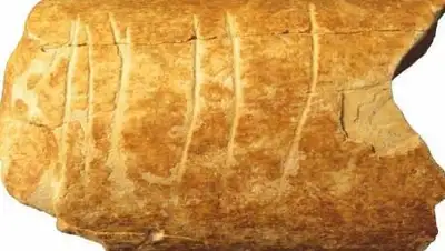 planetanovosti.com, фото - Новости Zakon.kz от 08.02.2021 00:53