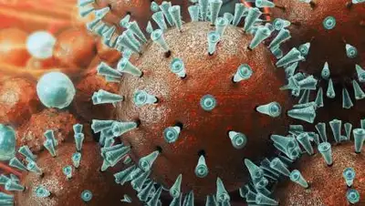 Sillin, фото - Новости Zakon.kz от 29.07.2021 01:37